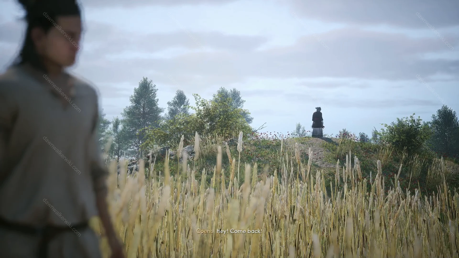 Lunka walking away through a field of flowers as Coen calls after her