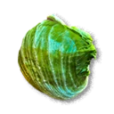 Cabbage inventory icon