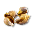 Fried Snails inventory icon