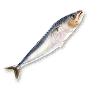 Raw Fish inventory icon