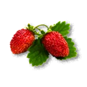 Wild Strawberry inventory icon
