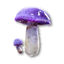 Cave Fungus inventory icon