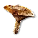 Saffron Milk Cap inventory icon