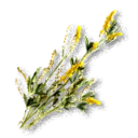 Yellow Sweet Clover inventory icon