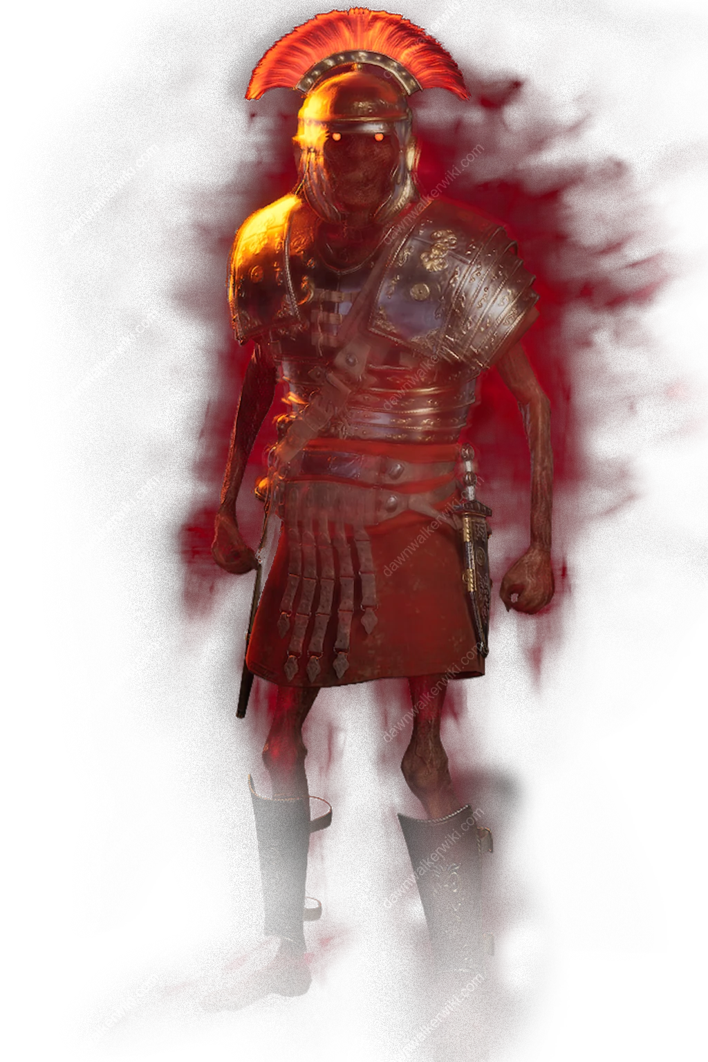 Anachora Warrior portrait in The Blood of Dawnwalker