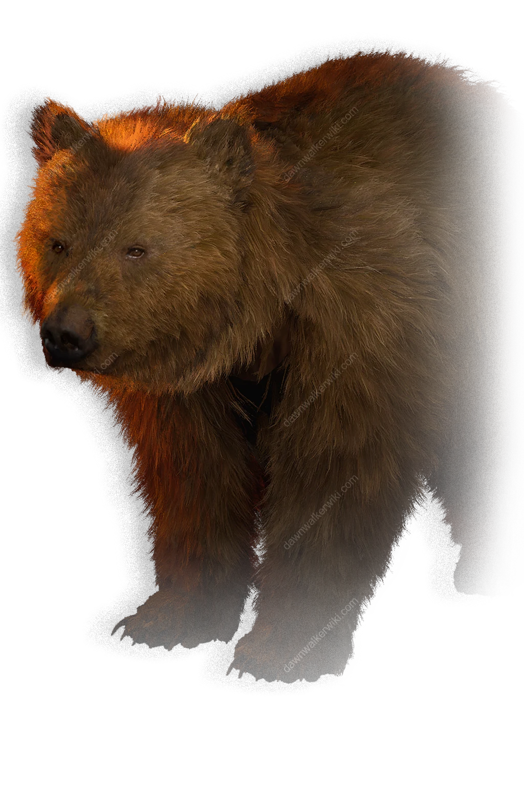 Bear portrait in The Blood of Dawnwalker