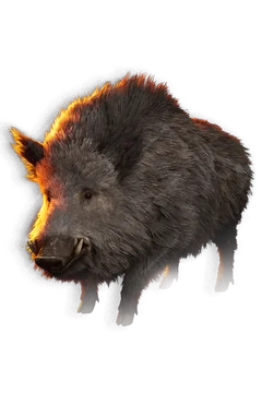 Boar portrait in The Blood of Dawnwalker