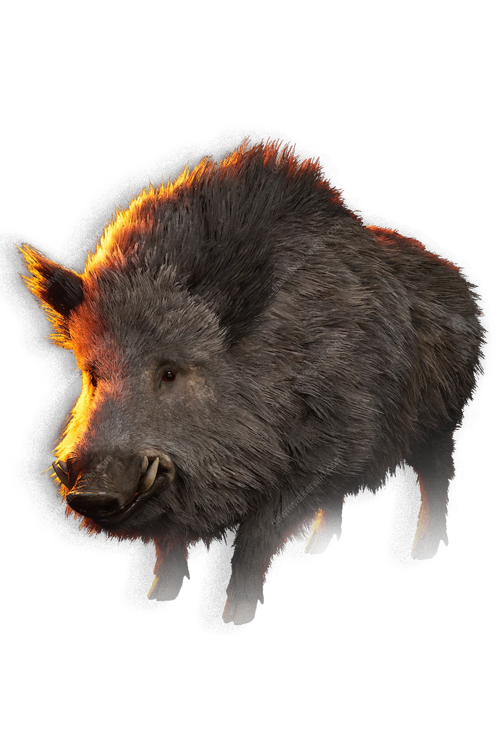 Boar portrait in The Blood of Dawnwalker