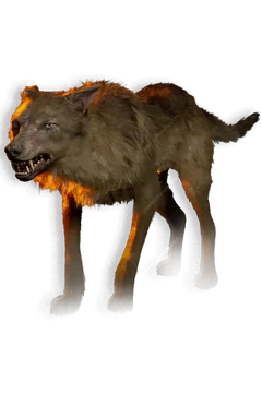 Dog portrait in The Blood of Dawnwalker