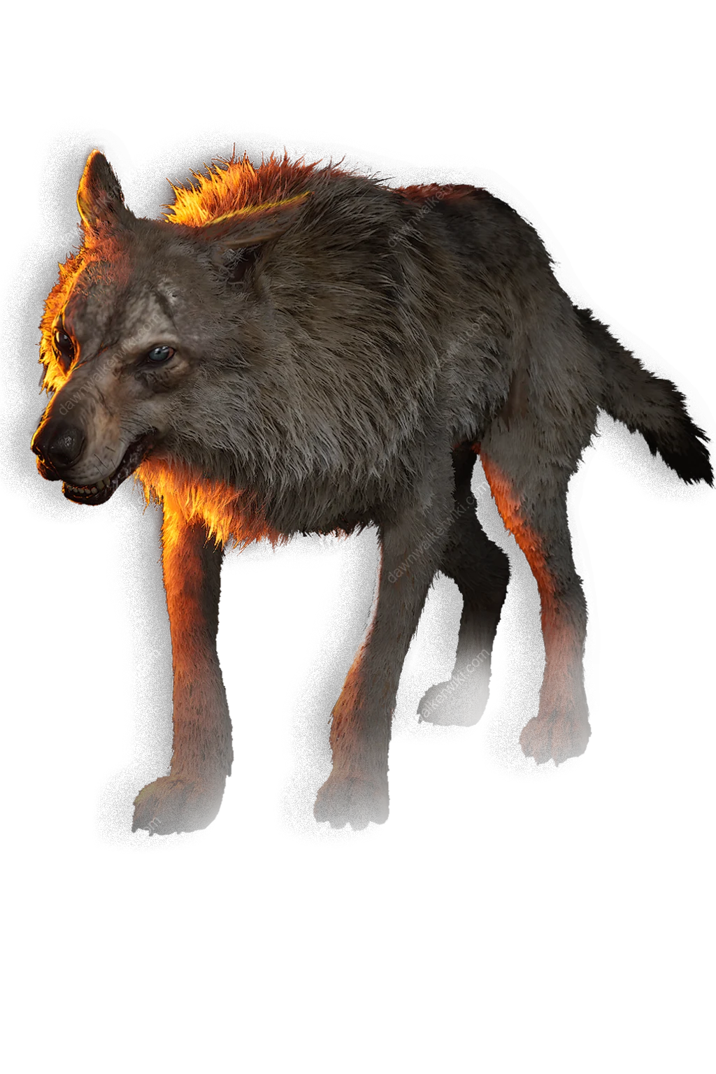 Wolf portrait in The Blood of Dawnwalker