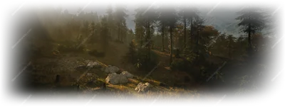 Maragir Wealds landscape in The Blood of Dawnwalker