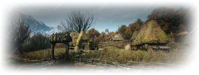 Tantari Woods landscape in The Blood of Dawnwalker